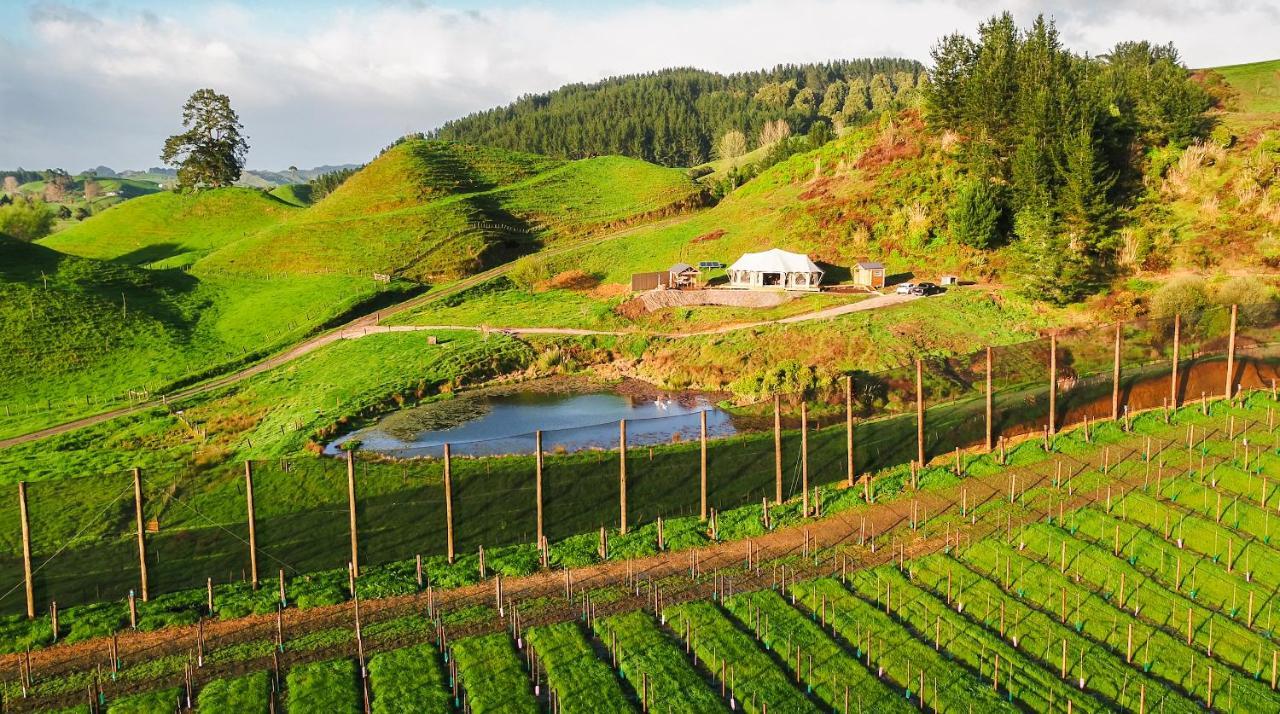 Orchard Valley Glamping Otorohanga Εξωτερικό φωτογραφία