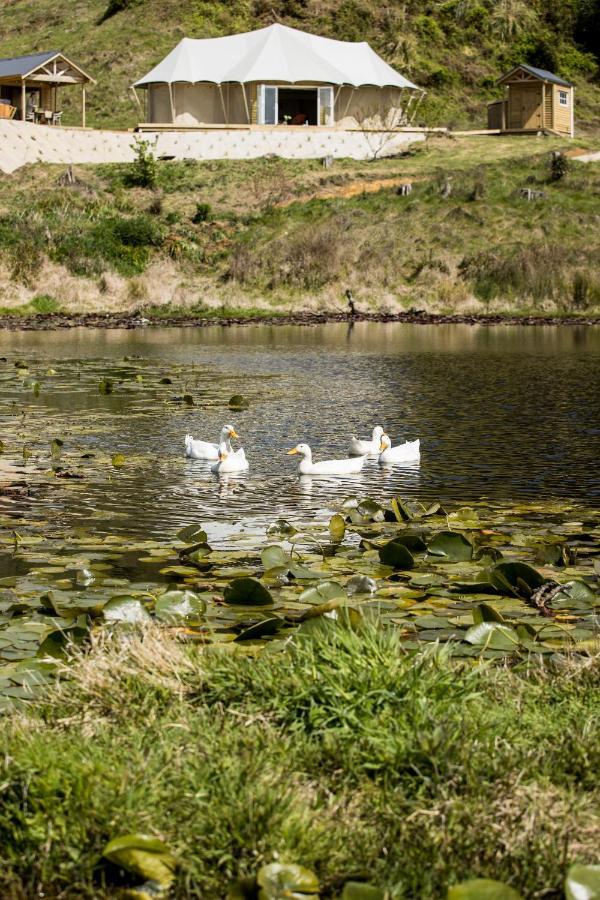 Orchard Valley Glamping Otorohanga Εξωτερικό φωτογραφία