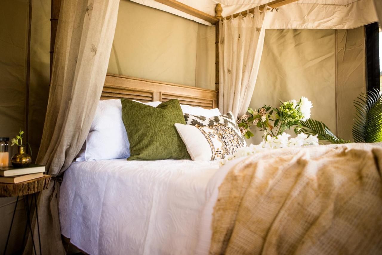 Orchard Valley Glamping Otorohanga Εξωτερικό φωτογραφία